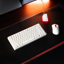 Load image into Gallery viewer, Aftershock White Kit