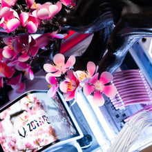 Load image into Gallery viewer, CHERRY BLOOM / R7 9800X3D | RTX 5080 | 64GB RAM