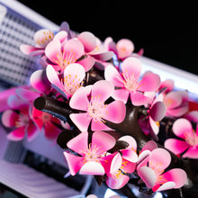 Load image into Gallery viewer, CHERRY BLOOM / R7 9800X3D | RTX 5080 | 64GB RAM