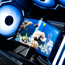 Load image into Gallery viewer, FISHTANK : LVL 9 / R7 9800X3D | RTX 5080 | 32GB RAM
