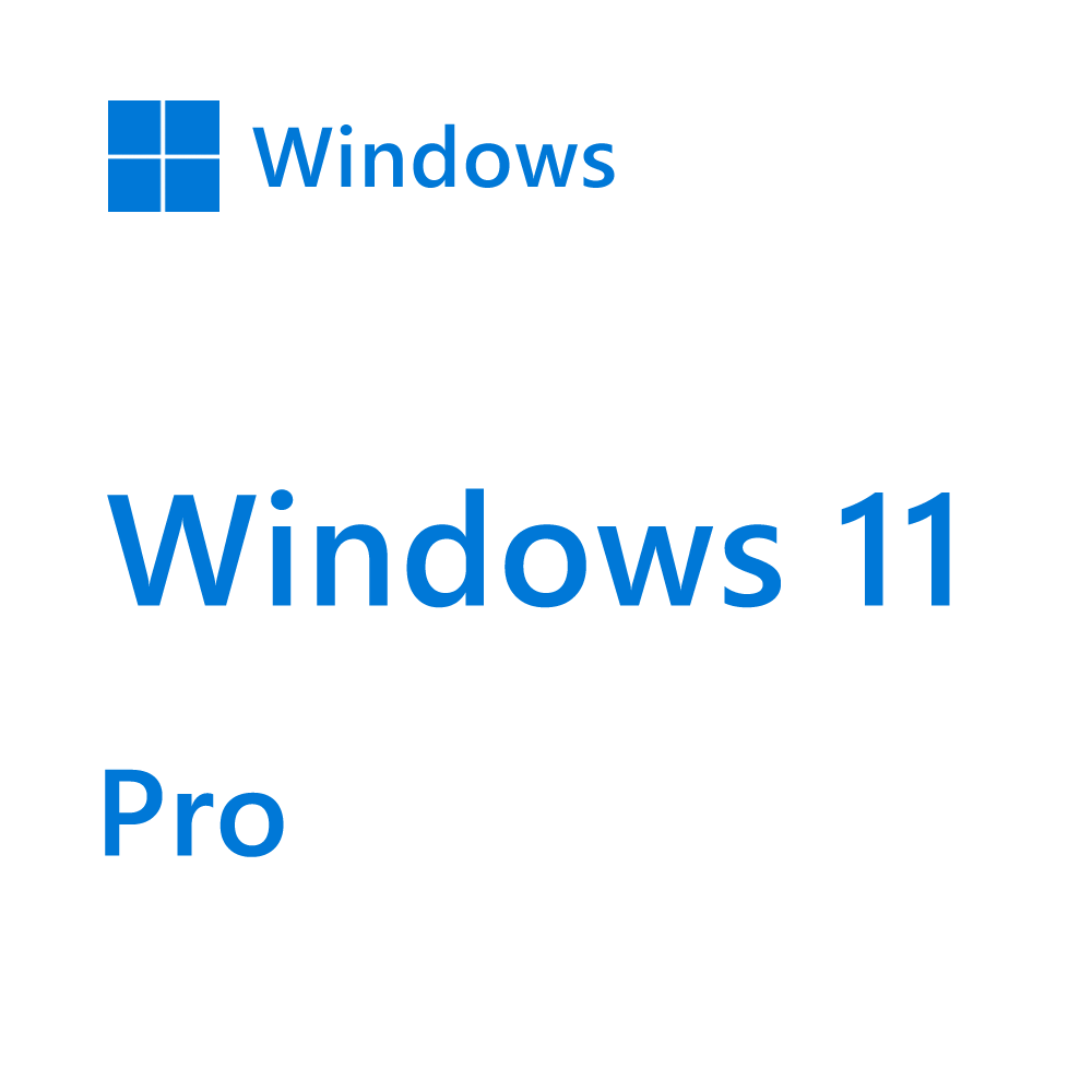 Windows 11 Professional 64 Bit